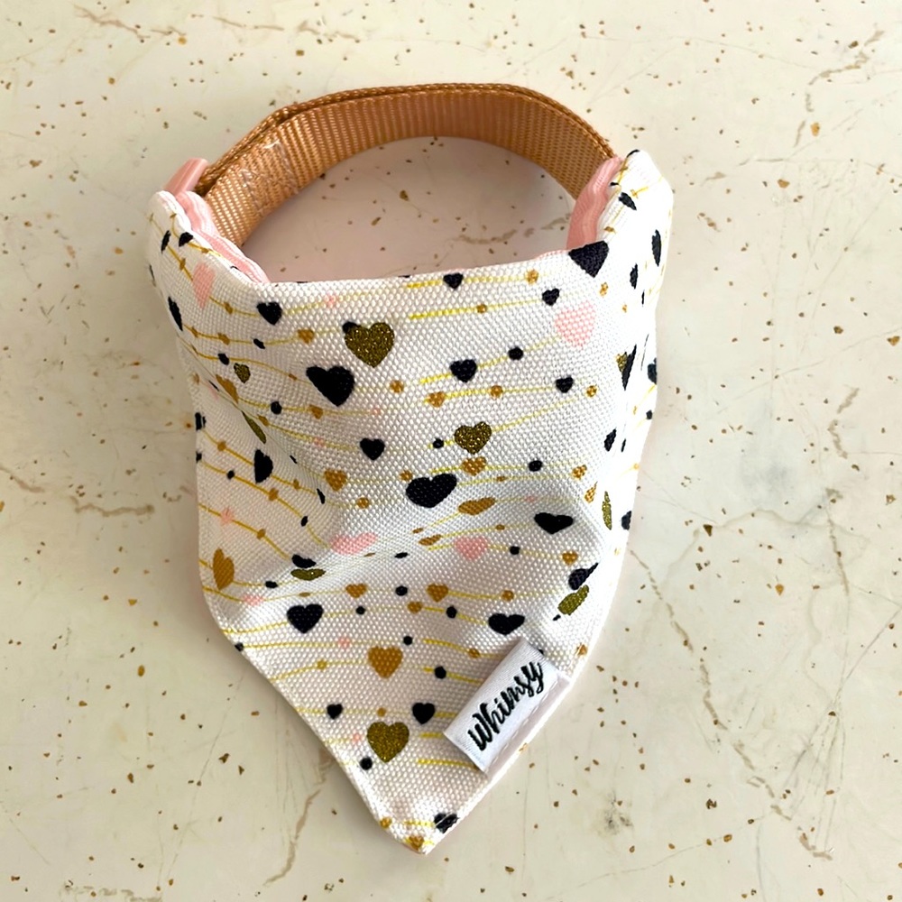 Medium Dog collar.